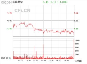 華峰氨綸（股票代碼 002064）的發展與展望